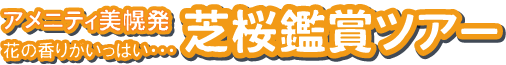 Ղ̎ō