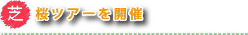 ōcA[J