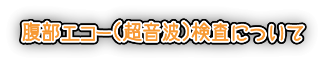 腹部エコー検査について